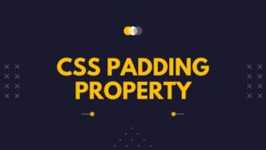 CSS Padding